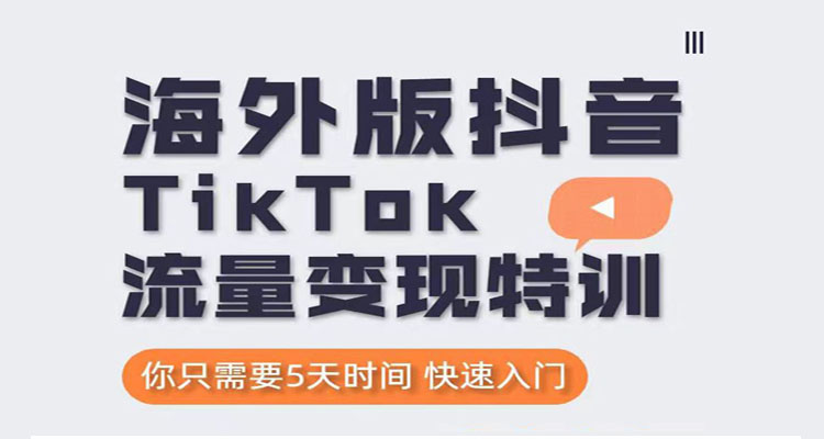 海外抖音TIKTOK流量变现特训班